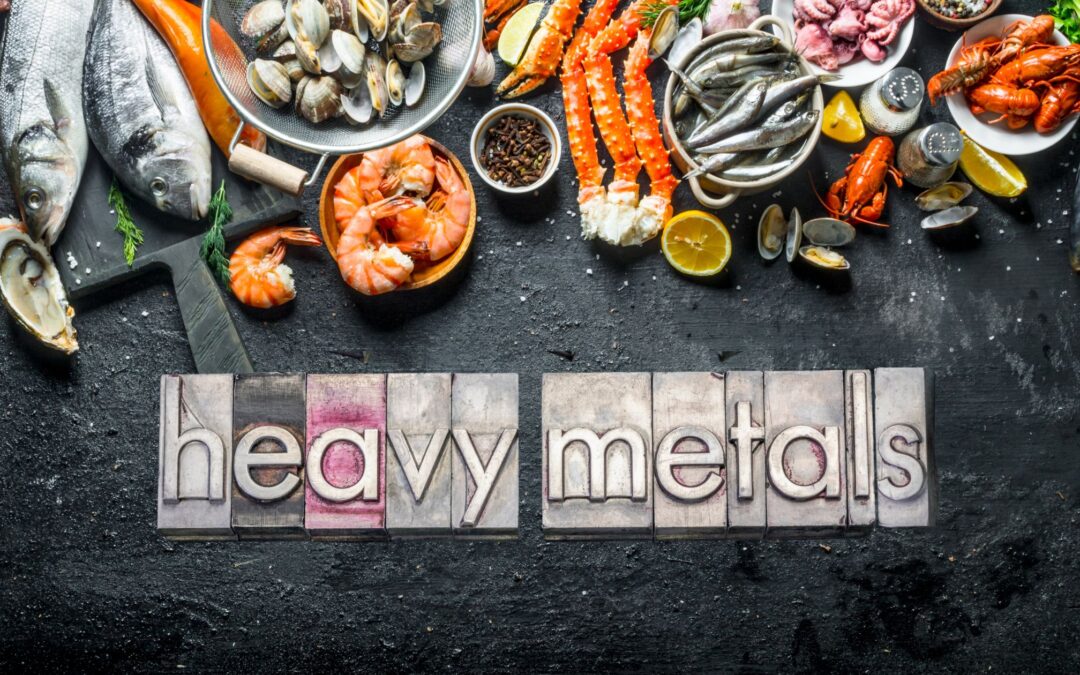 Seafood, Heavy Metals, and Lipid Profile