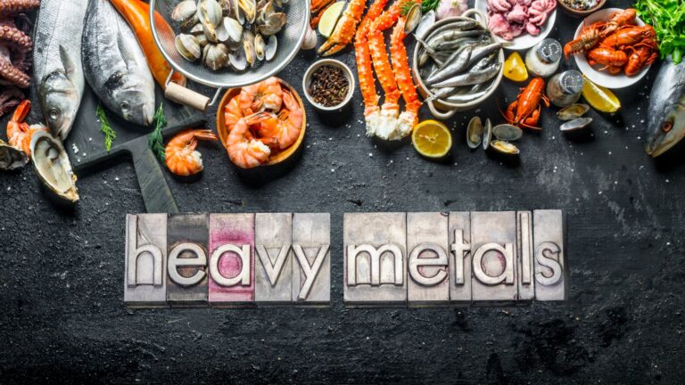 Seafood, Heavy Metals, and Lipid Profile