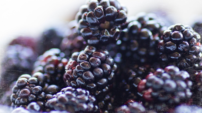 Blackberries