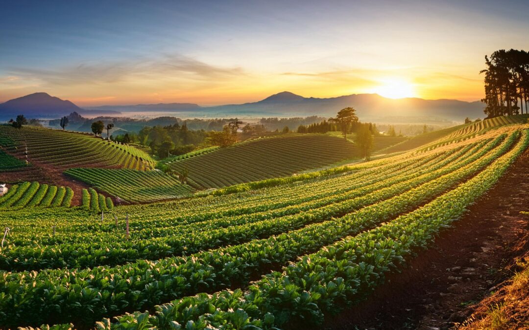 Organic Foods and Farming