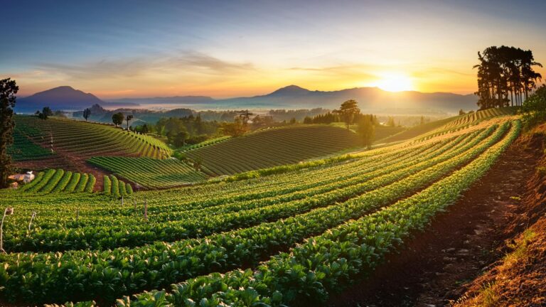Organic Foods and Farming