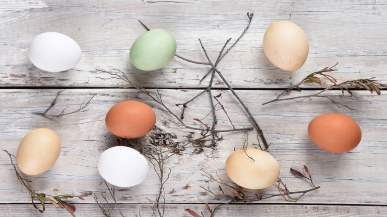 Egg