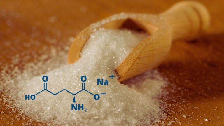 Monosodium Glutamate  (MSG)