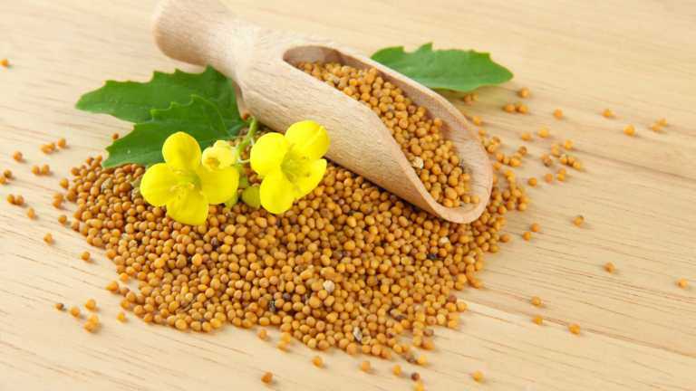 Mustard Seeds