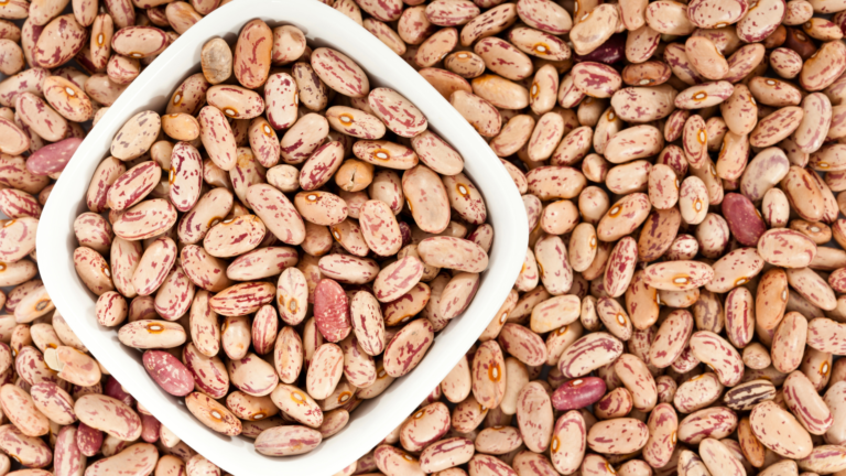 Pinto Beans