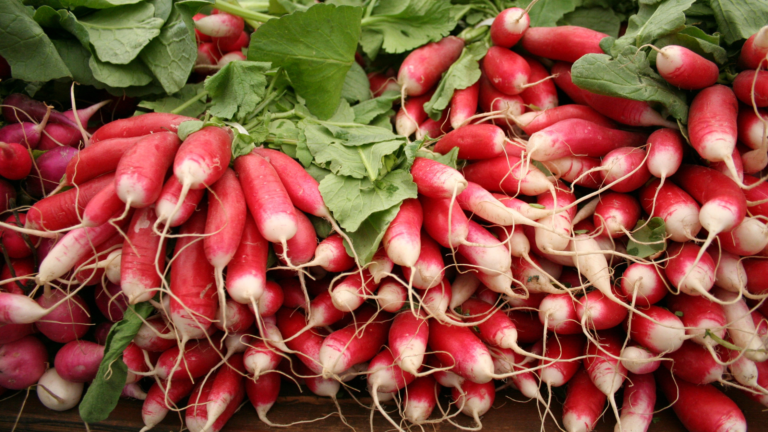 Radish