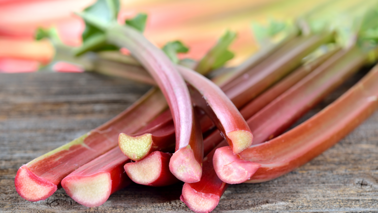 Rhubarb