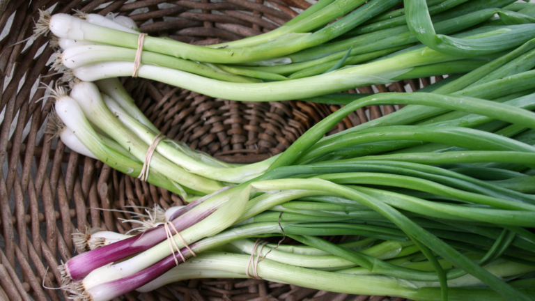 Scallions