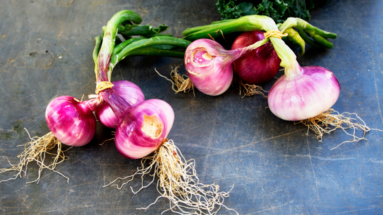 Shallots