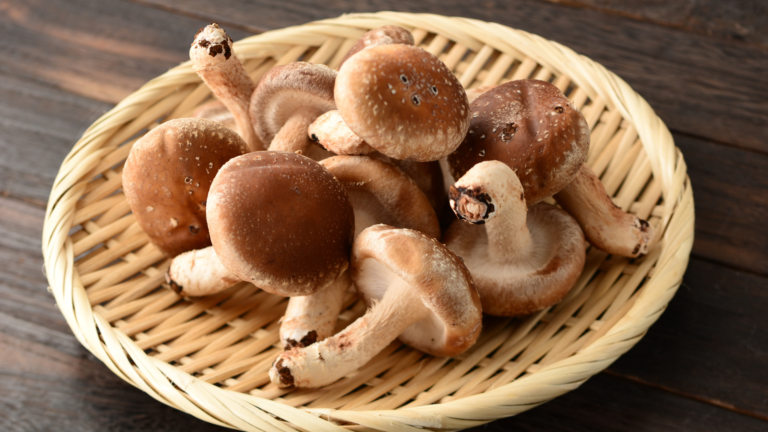 Shiitake Mushrooms