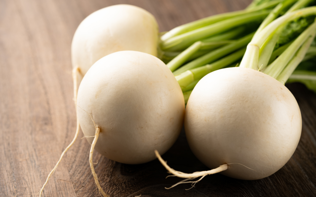 Turnip
