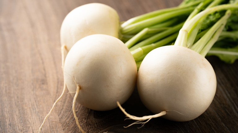 Turnip