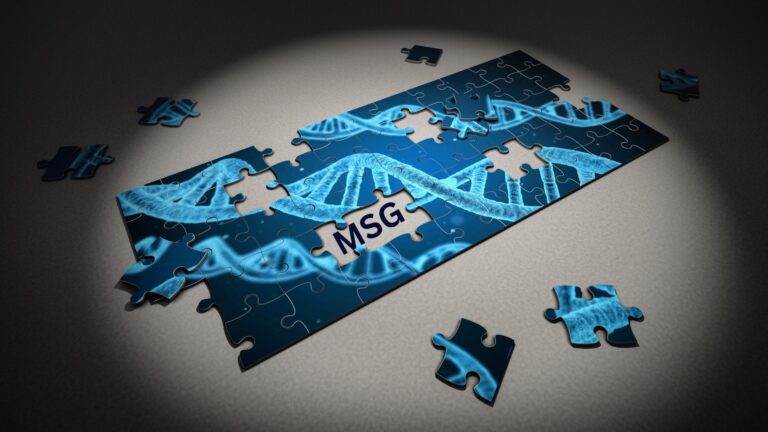 Monosodium Glutamate: Its Impact on DNA