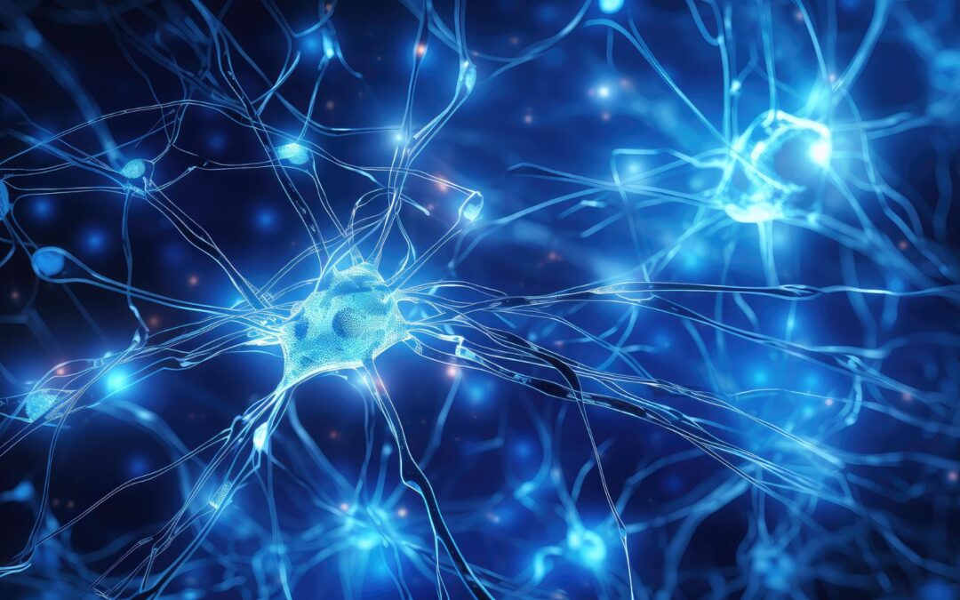 Stem Cell and Mindfulness