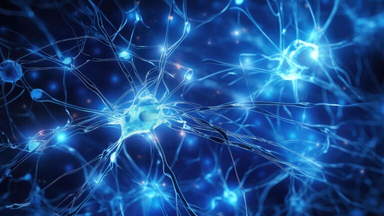 Stem Cell and Mindfulness
