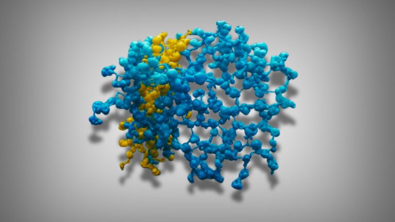 NF-κB Introduction and Overview