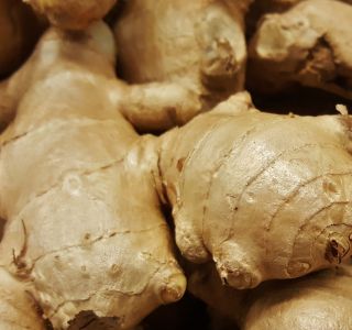 ginger